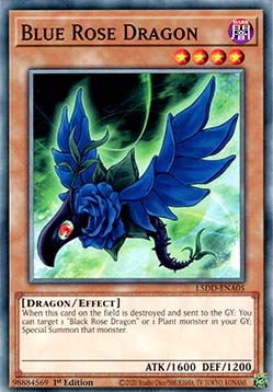 Blue Rose Dragon - L5DD-ENA05 - Common 1st Edition
