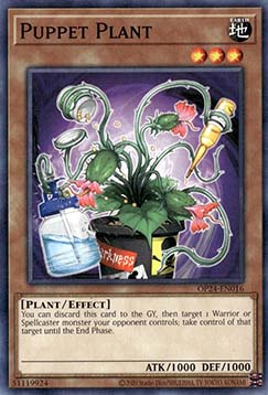Puppet Plant - OP24-EN016 - Common