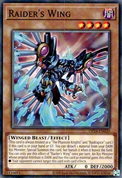 Raider's Wing - OP24-EN020 - Common