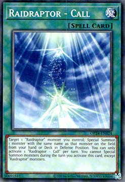 Raidraptor - Call - OP24-EN024 - Common