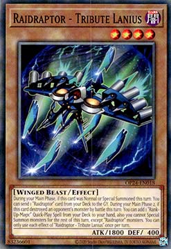 Raidraptor - Tribute Lanius - OP24-EN018 - Common