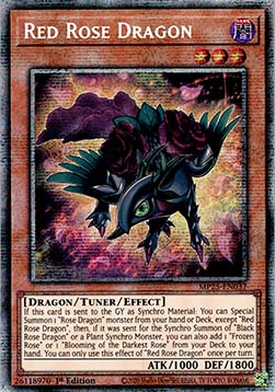 Red Rose Dragon - MP25-EN037 - Starlight Rare 1st Edition