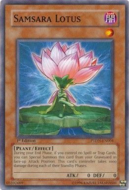 Samsara Lotus - PTDN-EN004 - 1st Edition