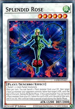 Splendid Rose - L5DD-ENA27 - Common 1st Edition