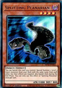 Splitting Planarian - MP25-EN263 - Ultra Rare 1st Edition