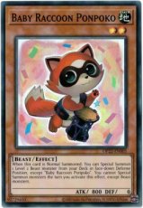 Baby Raccoon Ponpoko - OP22-EN005 - Super Rare