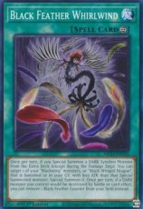 Black Feather Whirlwind - MP23-EN195 - Common 1st Edition
