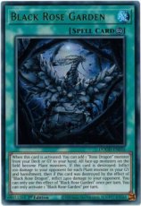 Black Rose Garden - DOOD-EN055 - Ultra Rare 1st Ed Black Rose Garden - DOOD-EN055 - Ultra Rare 1st Edition