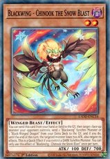 Blackwing - Chinook the Snow Blast - L5DD-ENC14 - Blackwing - Chinook the Snow Blast - L5DD-ENC14 - Common 1st Edition