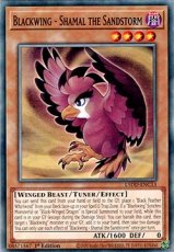 Blackwing - Shamal the Sandstorm - L5DD-ENC13 - Co Blackwing - Shamal the Sandstorm - L5DD-ENC13 - Common 1st Edition