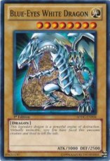 Blue-Eyes White Dragon - SDDC-EN004 - Common 1st Edition