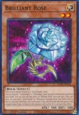 Brilliant Rose - MP23-EN124 - Common 1st Edition