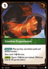 Combat Experience - 031/219 - Common Combat Experience - 031/219 - Common