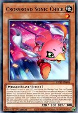 Crossroad Sonic Chick - L5DD-ENY03 - Common 1st Ed Crossroad Sonic Chick - L5DD-ENY03 - Common 1st Edition