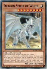 Dragon Spirit of White - SDWD-EN008 - Common 1st Edition