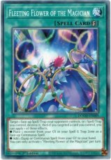Fleeting Flower of the Magician - DOOD-EN089 - Com Fleeting Flower of the Magician - DOOD-EN089 - Commom 1st Edition