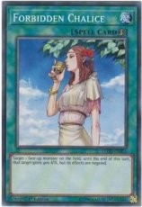 Forbidden Chalice - LEHD-ENB16 - Common 1st Editio Forbidden Chalice - LEHD-ENB16 - Common 1st Edition