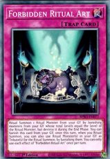 Forbidden Ritual Art - BPRO-EN077 - Common 1st Edi Forbidden Ritual Art - BPRO-EN077 - Common 1st Edition