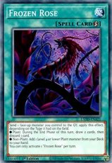 Frozen Rose - L5DD-ENA21 - Common 1st Edition Frozen Rose - L5DD-ENA21 - Common 1st Edition