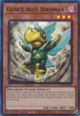 Genex Ally Birdman - BLTR-EN057 - Ultra Rare 1st E Genex Ally Birdman - BLTR-EN057 - Ultra Rare 1st Edition