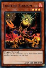 Lonefire Blossom - AC18-EN017 -Super Rare 1st Edition