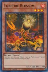 Lonefire Blossom - RA01-EN002 - Ultra Rare 1st Edition