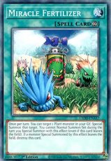 Miracle Fertilizer - L5DD-ENA17 - Common 1st Editi Miracle Fertilizer - L5DD-ENA17 - Common 1st Edition