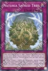 Naturia Sacred Tree - OP20-EN025 - Common