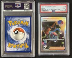 Penny (PAF 239) - PSA 9 Mint Penny (PAF 239) - PSA 9 Mint