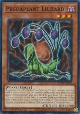 Predaplant Lilizard - BLZD-EN008 - Common 1st Edit Predaplant Lilizard - BLZD-EN008 - Common 1st Edition