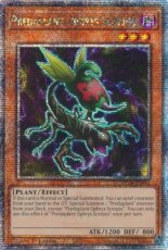 Predaplant Ophrys Scorpio - MP24-EN041 - Quarter C Predaplant Ophrys Scorpio - MP24-EN041 - Quarter Century Secret Rare 1st Edition