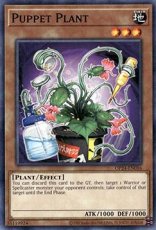 Puppet Plant - OP24-EN016 - Common Puppet Plant - OP24-EN016 - Common