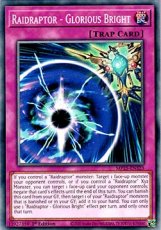 Raidraptor - Glorious Bright - MP25-EN323 - Commom Raidraptor - Glorious Bright - MP25-EN323 - Commom 1st Edition
