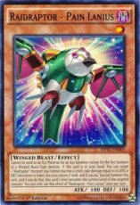 Raidraptor - Pain Lanius - MP17-EN007 -  1st Editi Raidraptor - Pain Lanius - MP17-EN007 -  1st Edition