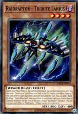 Raidraptor - Tribute Lanius - OP24-EN018 - Common Raidraptor - Tribute Lanius - OP24-EN018 - Common