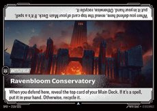 Foil - Ravenbloom Conservatory 215/221 - Uncommon Foil - Ravenbloom Conservatory 215/221 - Uncommon