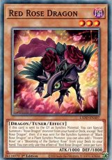 Red Rose Dragon - L5DD-ENA07 - Common 1st Edition Red Rose Dragon - L5DD-ENA07 - Common 1st Edition