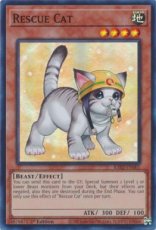 Rescue Cat(alternate art) - RA02-EN001 Super Rare 1st Edition