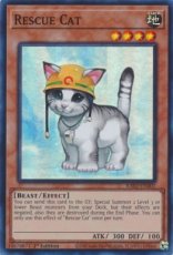 Rescue Cat - RA02-EN001 - Super Rare 1st Edition