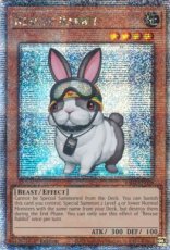 Rescue Rabbit - RA02-EN008 Quarter Century Secret Rare 1st Edition