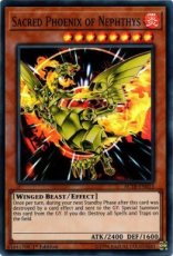 Sacred Phoenix of Nephthys - AC18-EN013 - Super Rare 1st Edition