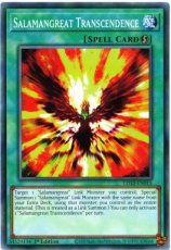 Salamangreat Transcendence - LD10-EN015 - Common 1st Edition