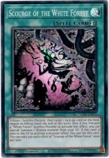 Scourge of the White Forest - ROTA-EN056 - Super R Scourge of the White Forest - ROTA-EN056 - Super Rare 1st Edition