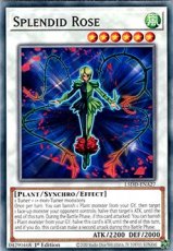 Splendid Rose - L5DD-ENA27 - Common 1st Edition Splendid Rose - L5DD-ENA27 - Common 1st Edition