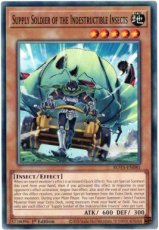 Supply Soldier of the Indestructible Insects - ROTA-EN081 - Common 1st Edition