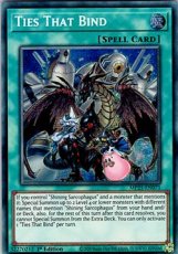 Ties That Bind - MP25-EN071 - Prismatic Secret Rar Ties That Bind - MP25-EN071 - Prismatic Secret Rare 1st Edition