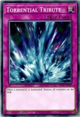 Torrential Tribute - SR14-EN037 - Common 1st Edition