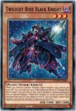 Twilight Rose Black Knight - DOOD-EN005 - Commom 1 Twilight Rose Black Knight - DOOD-EN005 - Commom 1st Edition