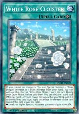 White Rose Cloister - L5DD-ENA22 - Common 1st Edit White Rose Cloister - L5DD-ENA22 - Common 1st Edition