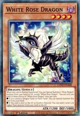 White Rose Dragon - L5DD-ENA08 - Common 1st Editio White Rose Dragon - L5DD-ENA08 - Common 1st Edition
